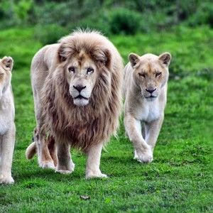 Meet your Posher, Donna